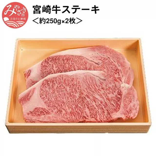 宮崎牛ステーキ＜約250g×2枚＞_M055-004_01
