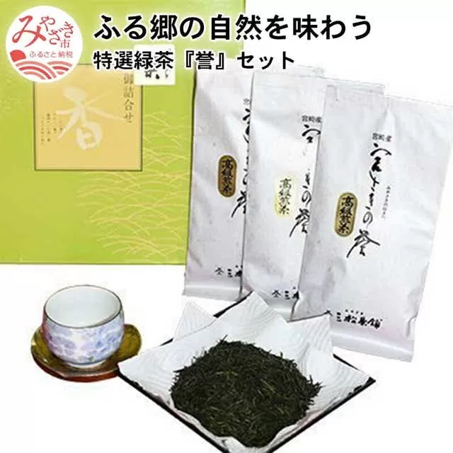 特選緑茶「誉」(宮さきの誉100g×3袋)セット_M060-003