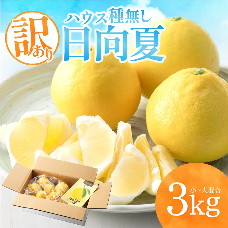 《2026年発送先行予約》【数量・期間限定】【訳あり】ハウス種無し日向夏　小～大混合3kg_M347-001