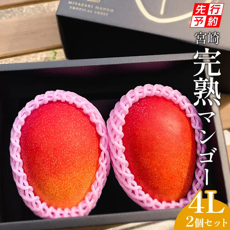 《2026年発送先行予約》【期間・数量限定】宮崎市産完熟マンゴー2玉 4Lサイズ(1玉450～499g)_M126-016_01