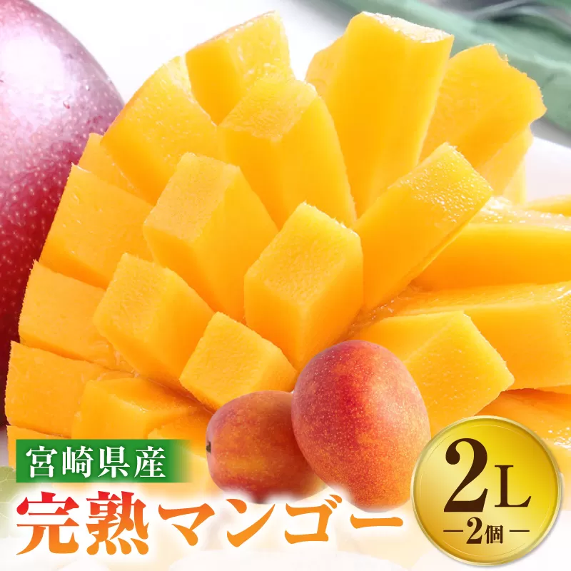 《2025年発送》【期間・数量限定】宮崎特産品　宮崎県産完熟マンゴー　2L×2個_M275-001