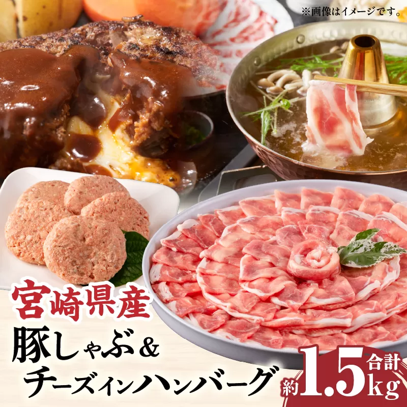 宮崎県産豚 ロース1kg&チーズインハンバーグ5個 セット_M132-039