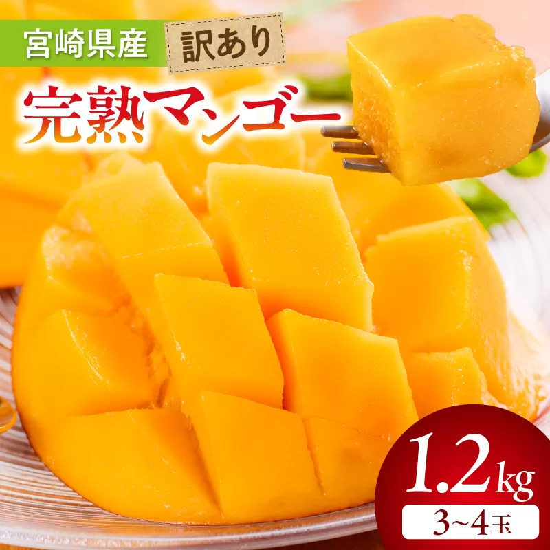 【期間・数量限定】宮崎県産訳あり完熟マンゴー1.2kg(3～4玉)_M359-006