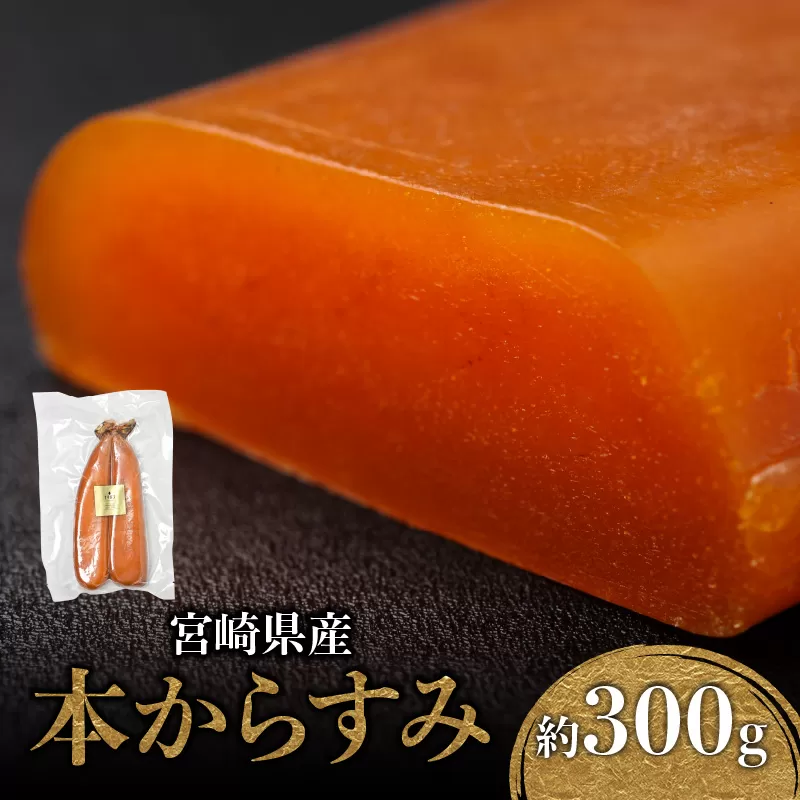宮崎県産本からすみ 約300g_M017-022_01
