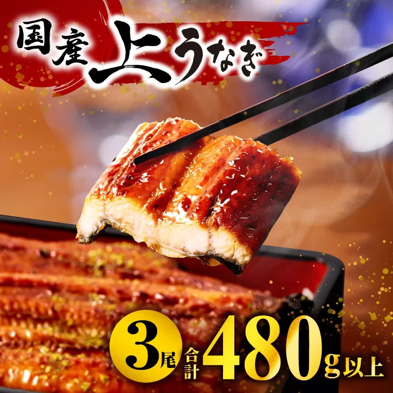 九州産うなぎ蒲焼3尾（計480g以上＆さんしょう、たれ付き）_M040-012