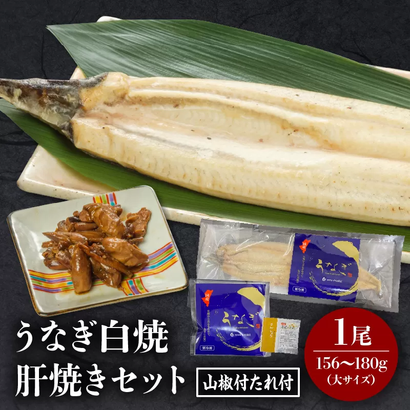 うなぎ白焼(大サイズ)・肝焼きセット_M069-022