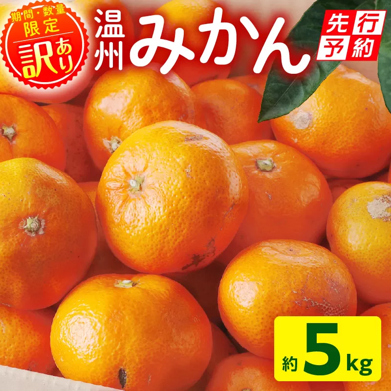 《2025年発送先行予約》【期間・数量限定】《訳あり》温州みかん5kg(傷み補償分200g付き)_M249-003-02