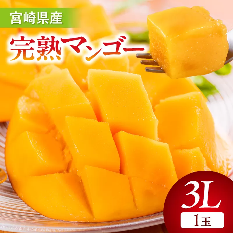 【期間・数量限定】宮崎県産完熟マンゴー3L(1玉)_M359-003-01