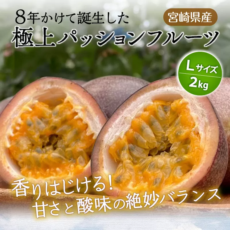 《2025年発送》【期間・数量限定】8年かけて誕生した宮崎県産極上パッションフルーツＬ　2kg_M057-005