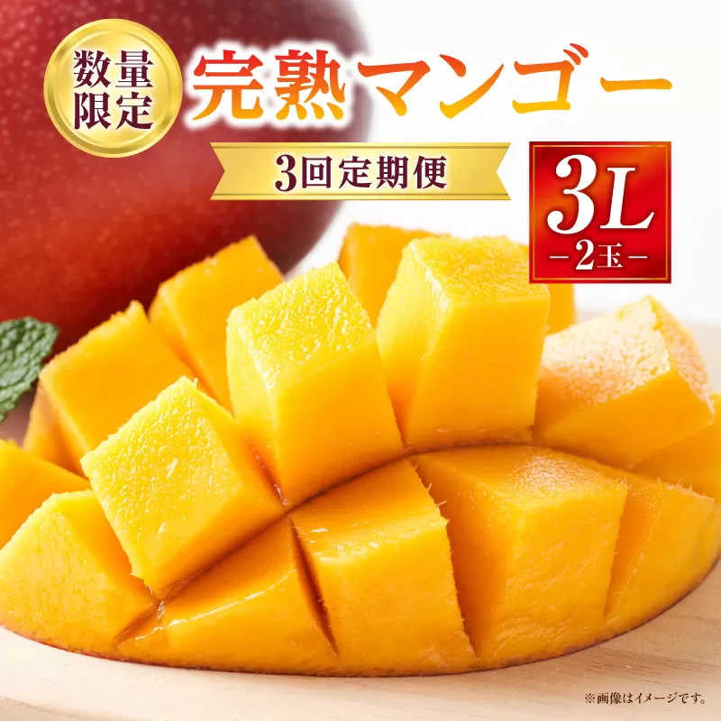 《2026年発送先行予約》【数量・期間限定】3回定期便 3L2玉完熟マンゴーコース_M354-T004