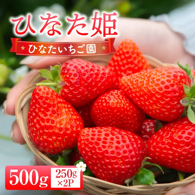 【期間・数量限定】ひなたいちご園【ひなた姫】いちご 500g（250g×2P）_M338-009-01