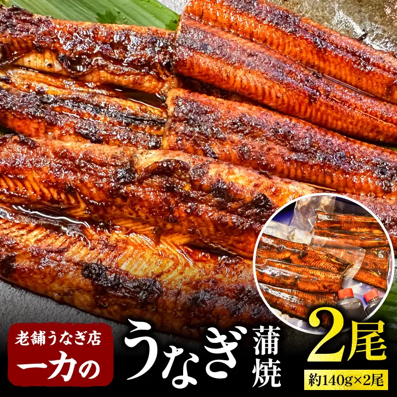 一力のうなぎ蒲焼 約140g×2尾_M391-001