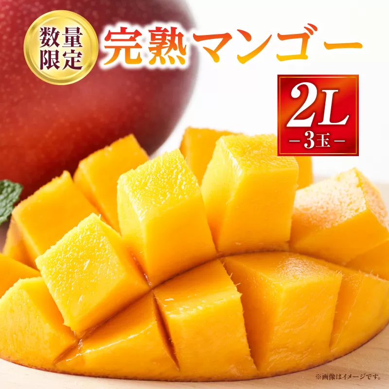 《2026年発送先行予約》【数量・期間限定】完熟マンゴー 2Lサイズ 3玉_M354-002-06