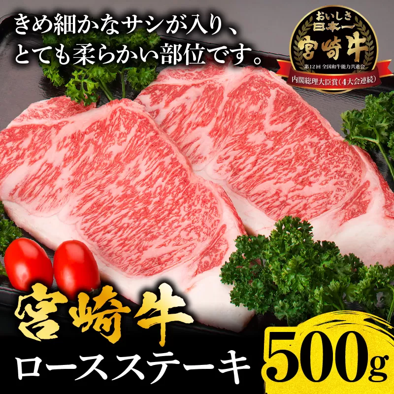 宮崎牛ロースステーキ500g_M299-005