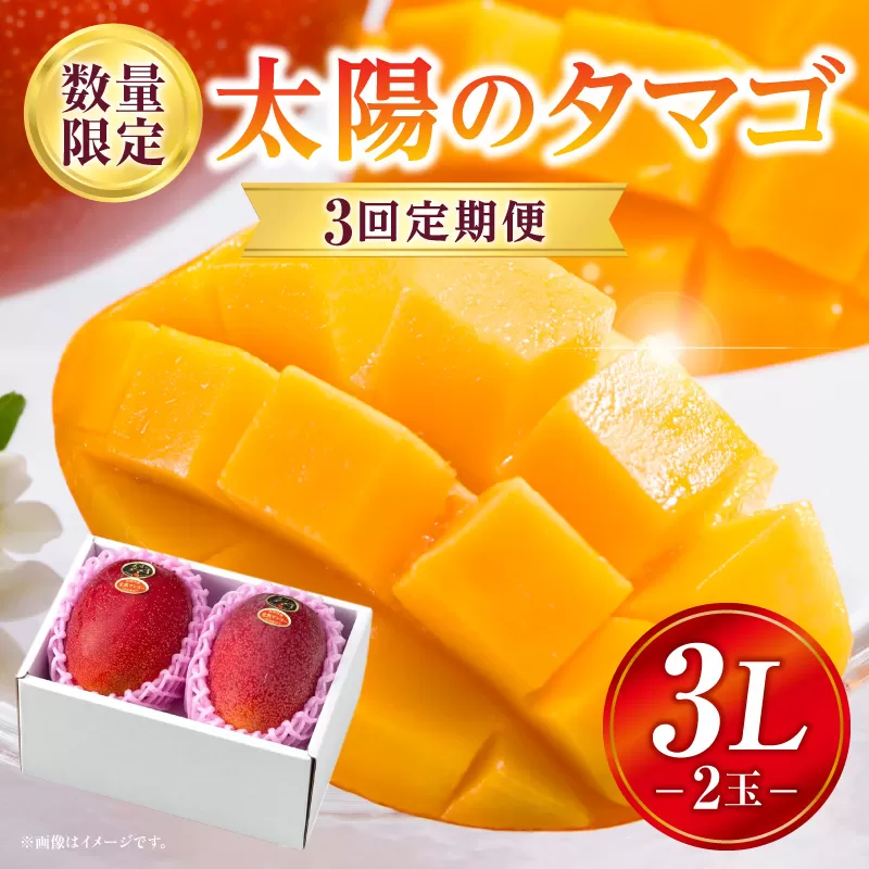 《2026年発送先行予約》【数量・期間限定】3回定期便 3L2玉太陽のタマゴコース_M354-T003