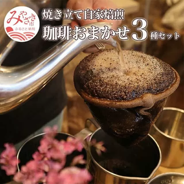 焼き立て 自家焙煎 珈琲豆 おまかせ 3種類 セット_M204-001