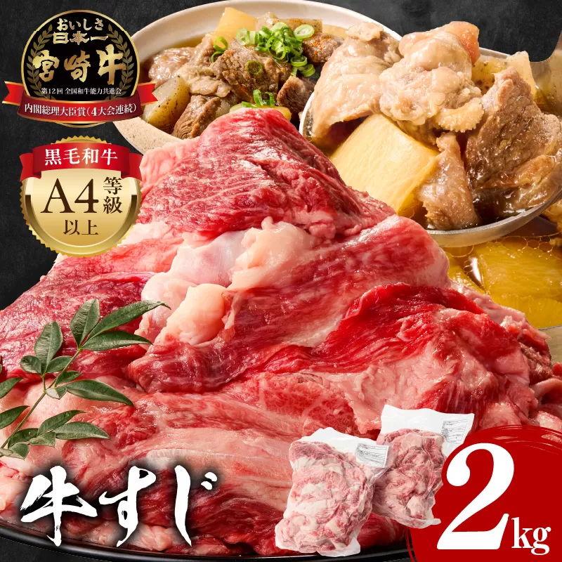 宮崎牛 牛すじ 2kg_M243-017