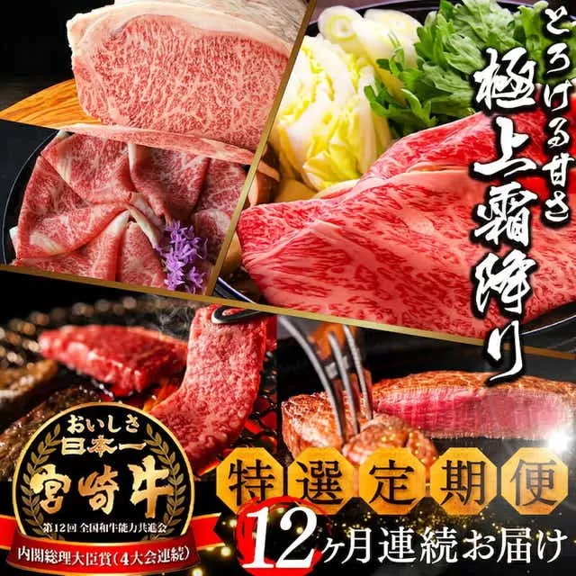 《期間・数量限定》 特選! 宮崎牛 定期便 Aコース 《2024年3月から毎月お届け!》 全12回_M153-T017