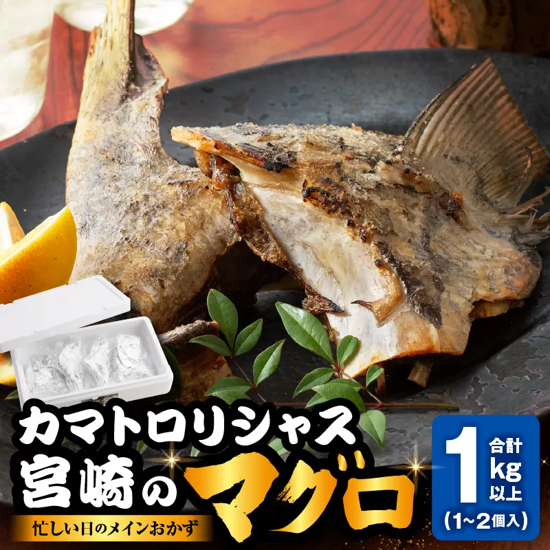 カマトロリシャス宮崎のマグロ_M352-003