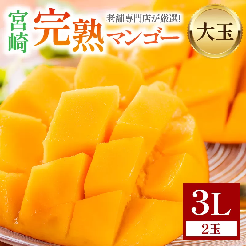 《2025年発送》【期間・数量限定】宮崎完熟マンゴー_M342-003