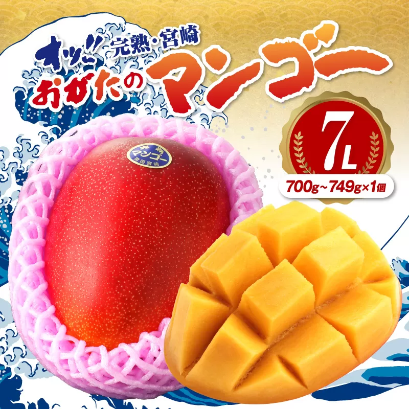 【期間・数量限定】おがたのマンゴー　完熟宮崎マンゴー　7Lサイズ　（700g～749g）×1個_M161-013