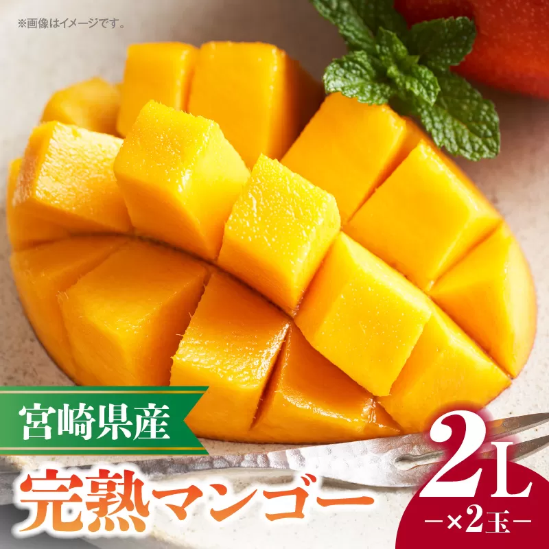 《2025年発送》宮崎県産完熟マンゴー 2L×2玉_M320-007