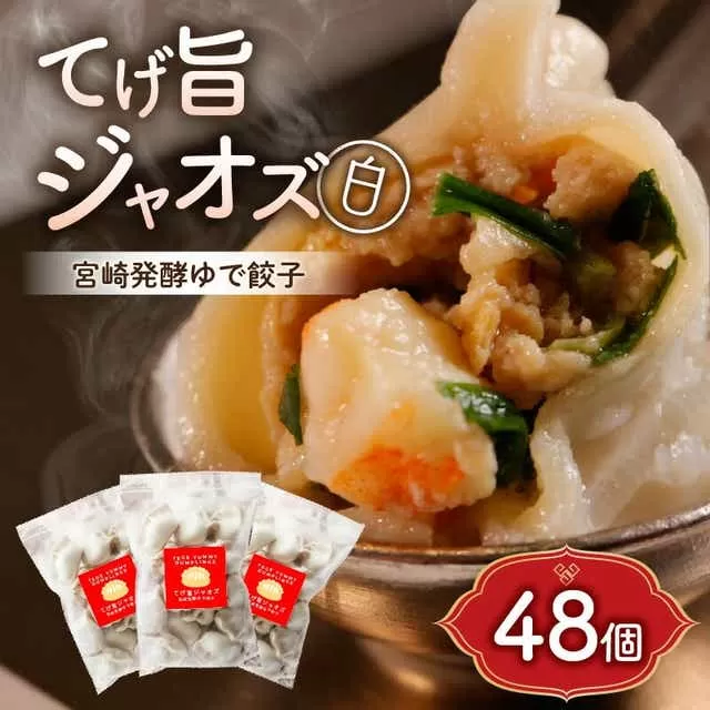 てげ旨ジャオズ【白】6食分（48個入）