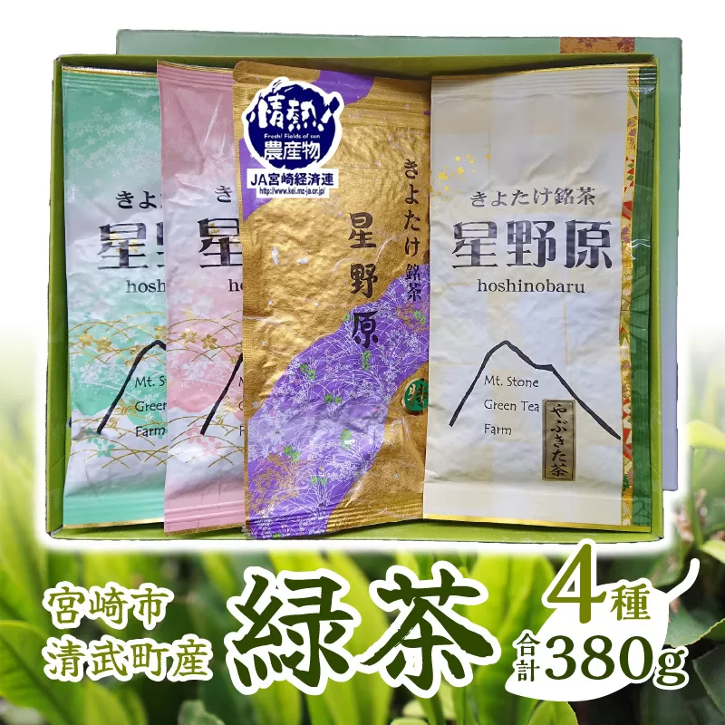 宮崎市 清武町産 緑茶4点セット 計380g_M211-001