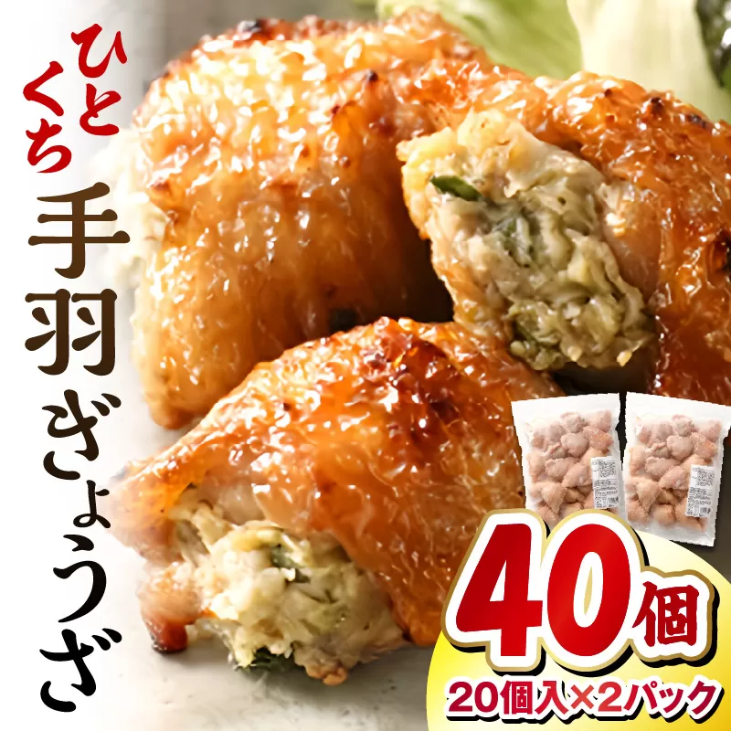 ひとくち 手羽 ぎょうざ 計40個 20個入×2パック_M025-005