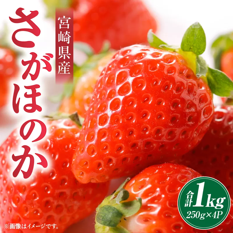 《2026年発送》【数量・期間限定】宮崎県産さがほのか 約1kg_M267-002-02