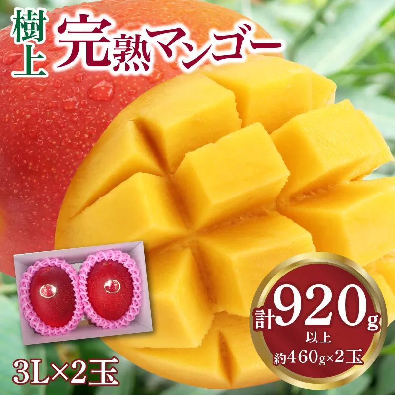 《2024年発送》樹上完熟マンゴー3L×2玉_M271-005