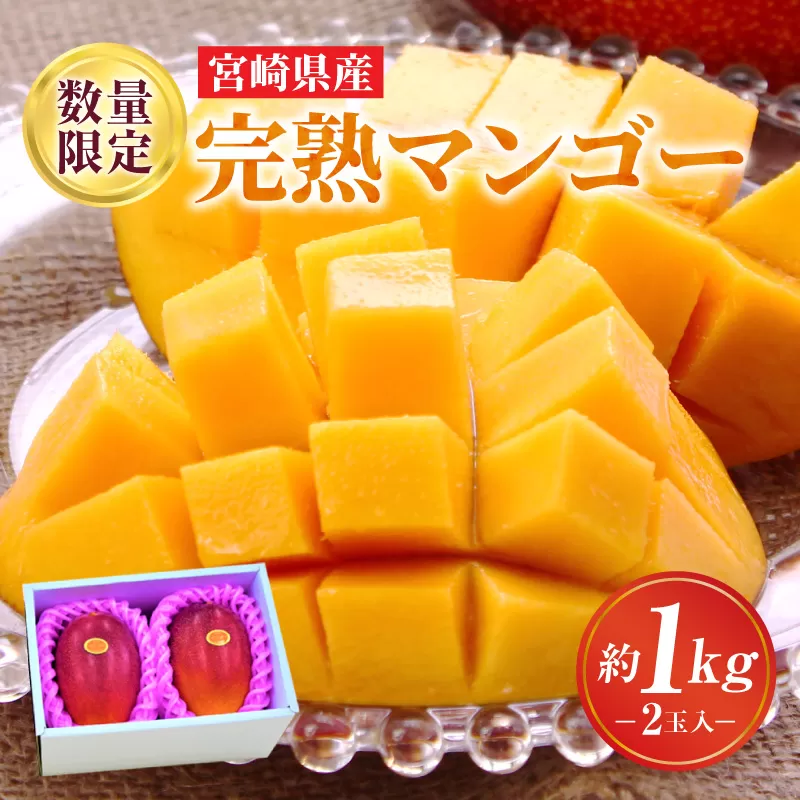 《2026年発送先行予約》【数量・期間限定】完熟マンゴーA3L(2玉入り)_M056-001_17