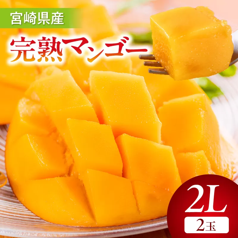 【期間・数量限定】宮崎県産完熟マンゴー2L(2玉)_M359-002-02