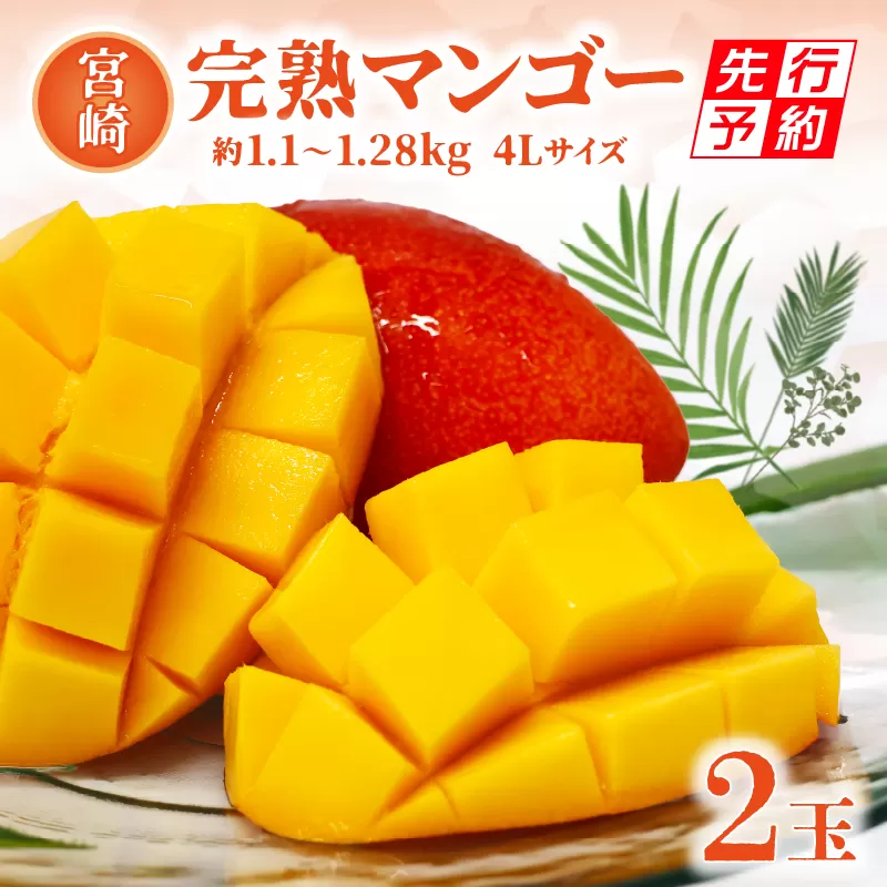 《2025年発送先行予約》【期間・数量限定】宮崎完熟マンゴー 約1.1～1.28kg 4Lサイズ（2玉）_M338-004