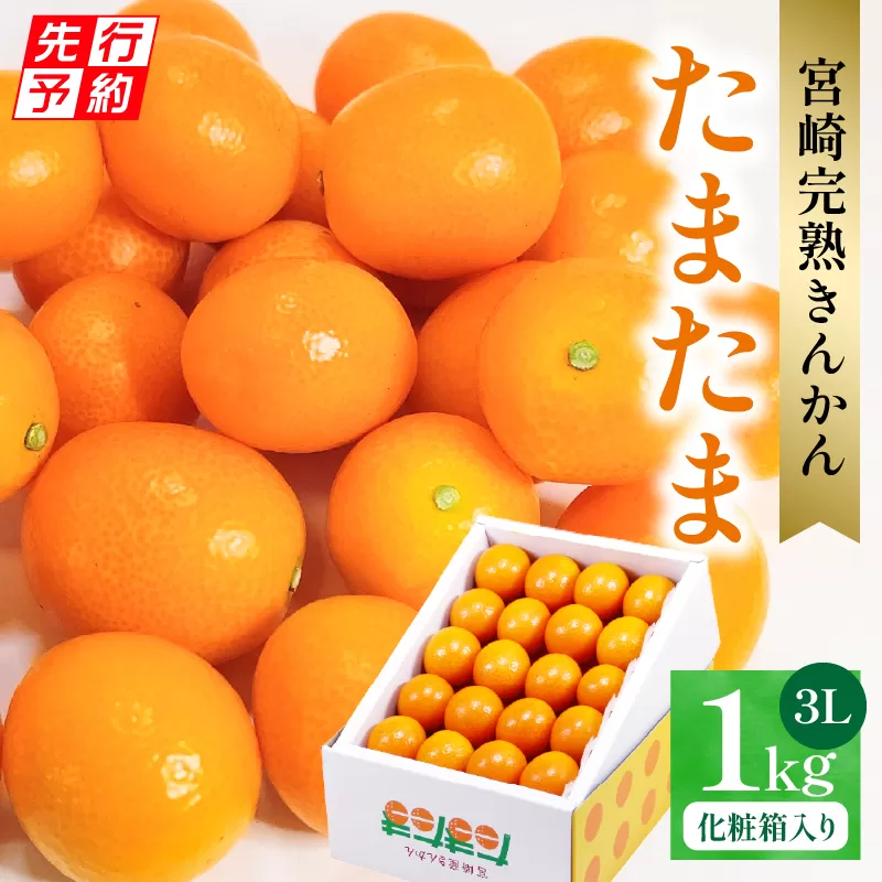 【先行予約】【期間・数量限定】宮崎完熟きんかん たまたま_M342-004