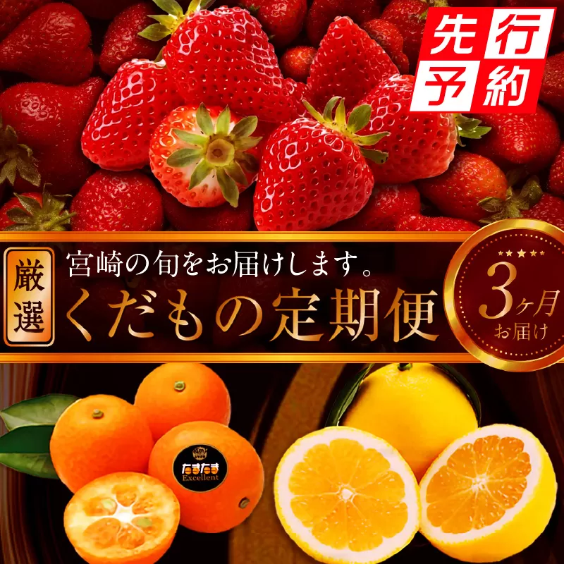 《2025年発送先行予約》【期間・数量限定】青果店厳選！「3ヶ月お届け！くだもの定期便Vol.3」_M153-T023