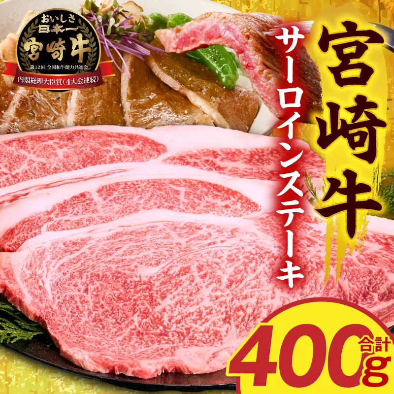 宮崎牛サーロインステーキ2枚 合計400g_M389-007-01