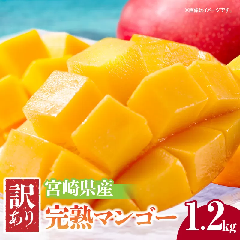 《2026年発送先行予約》【数量・期間限定】宮崎県産 訳あり完熟マンゴー 1.2kg_M320-005