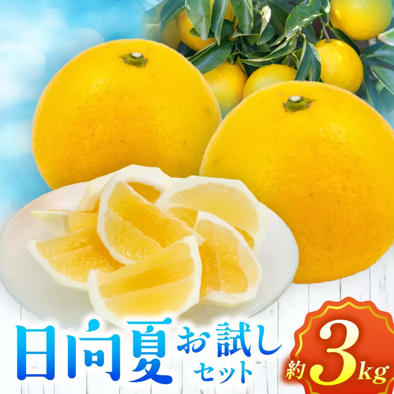日向夏　お試しセット3kg_M271-006