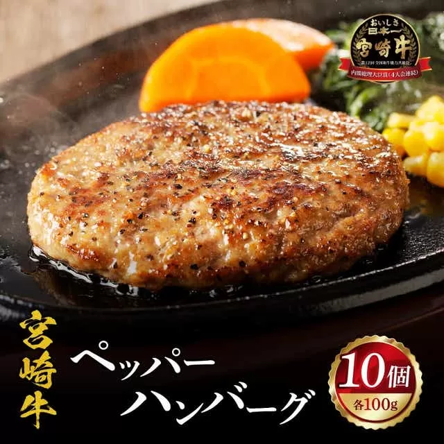 宮崎牛ペッパーハンバーグ 100ｇ 10個入_M132-066