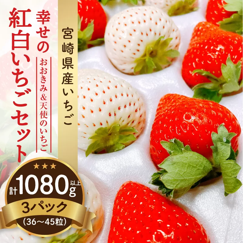 【数量・期間限定】宮崎県産 幸せの紅白いちごセット（おおきみ&天使のいちご）3パック_M260-012