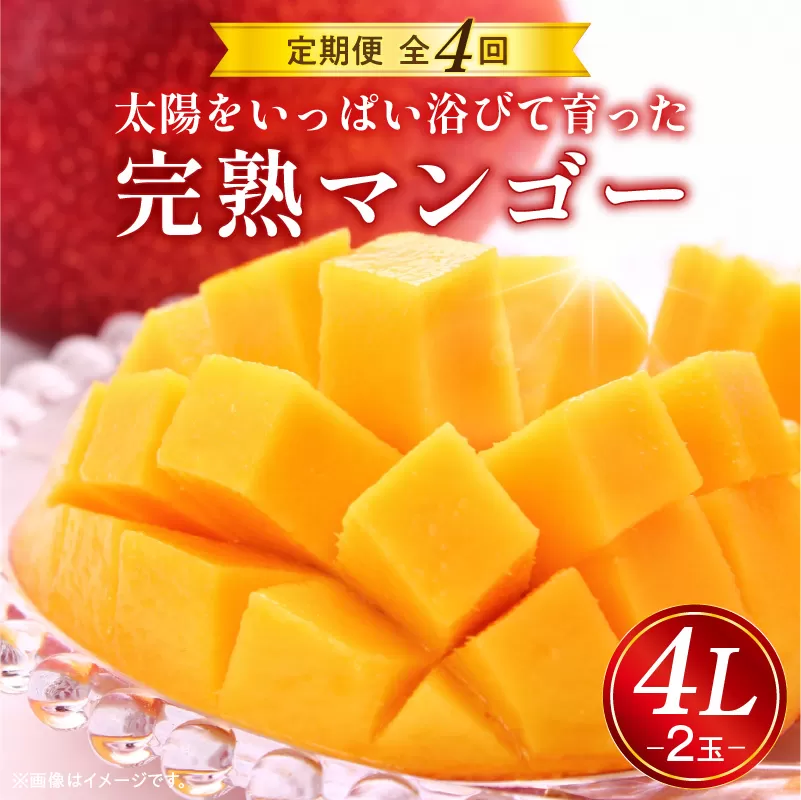 《2026年発送先行予約》【数量・期間限定】完熟マンゴー4L×2玉定期便　全4回_M153-T034