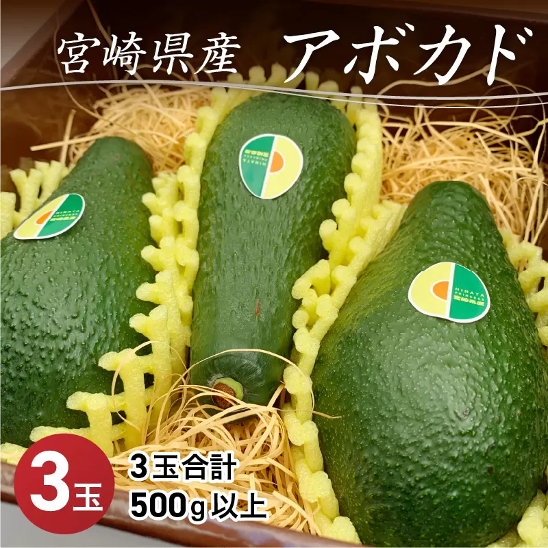 期間・数量限定 宮崎県産アボカド3玉(3玉合計500g以上)_M126-008_01