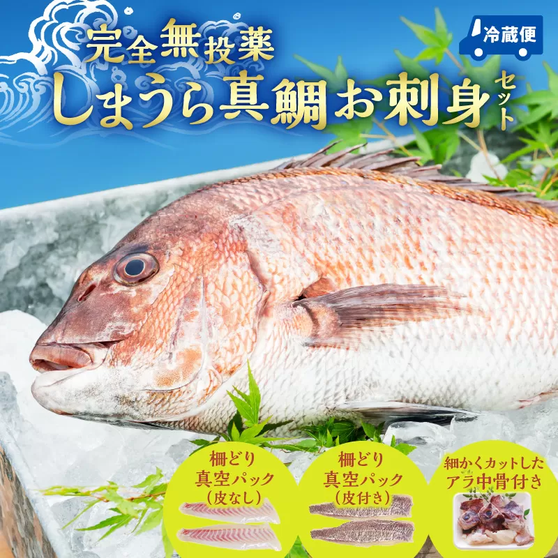【完全無投薬】しまうら真鯛お刺身セット_M133-005