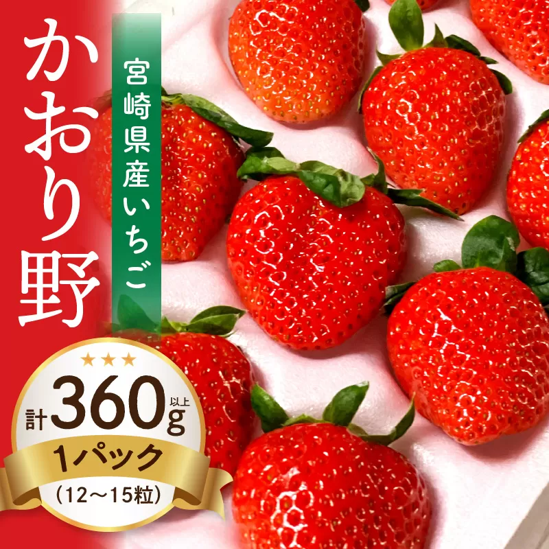 【期間・数量限定】宮崎県産いちご「かおり野」1パック（計360g以上：12粒～15粒）_M260-013