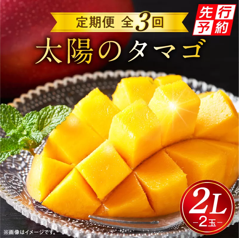 《2025年発送先行予約》【期間・数量限定】太陽のタマゴ2L2玉定期便　全3回_M153-T036