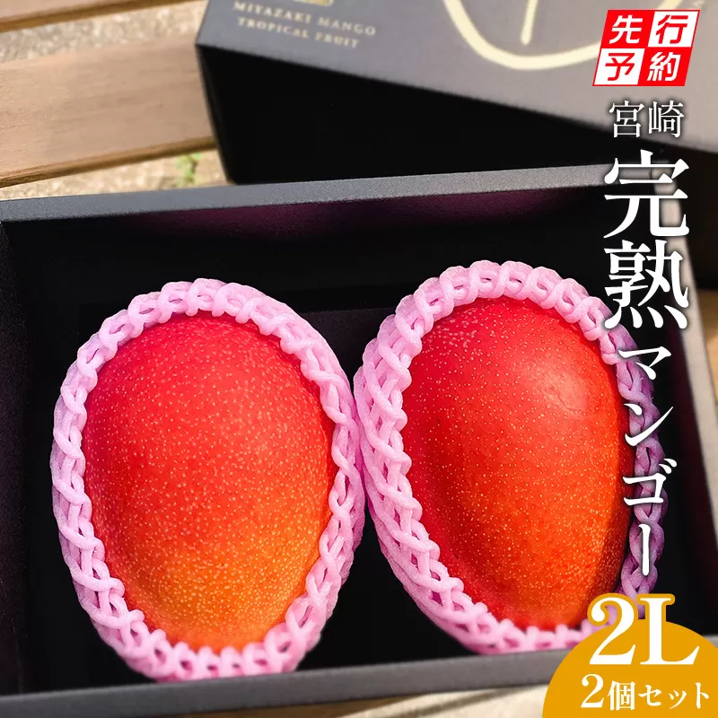 《2026年発送先行予約》【期間・数量限定】宮崎完熟マンゴー2玉 2Lサイズ(1玉350～399g)_M126-014_01
