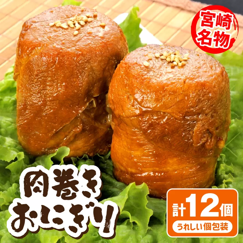 宮崎県産肉巻きおにぎり12個セット_M076-005