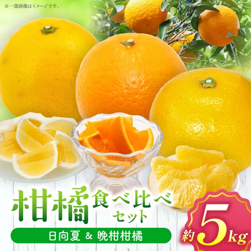 柑橘食べ比べセット5kg（日向夏＆晩柑柑橘）_M271-007