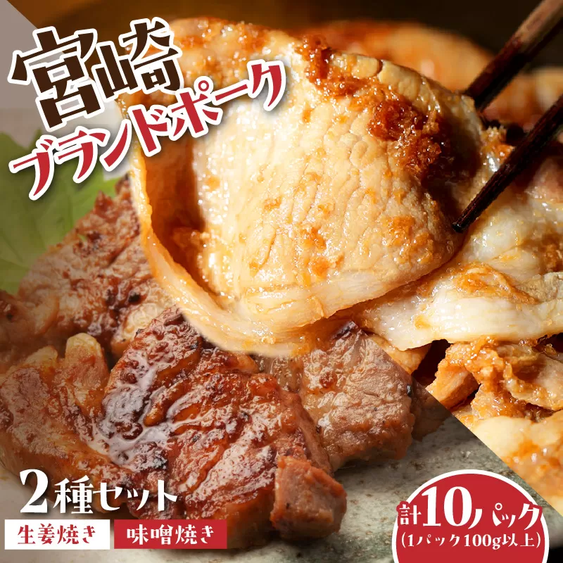 宮崎ブランドポーク2種セット　生姜焼き・味噌焼きセット　計10パック（1パック100g以上）_M199-002